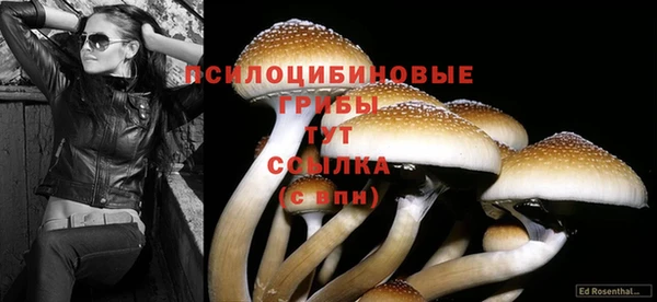 марки nbome Абаза