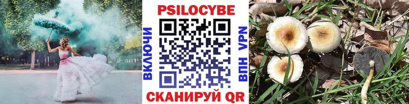 как найти закладки Правдинск Галлюциногенные грибы GOLDEN TEACHER