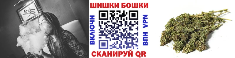 Конопля сатива  где можно купить   Правдинск 